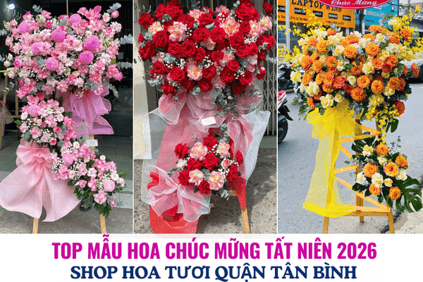 Top các mẫu hoa chúc mừng tất niên 2026